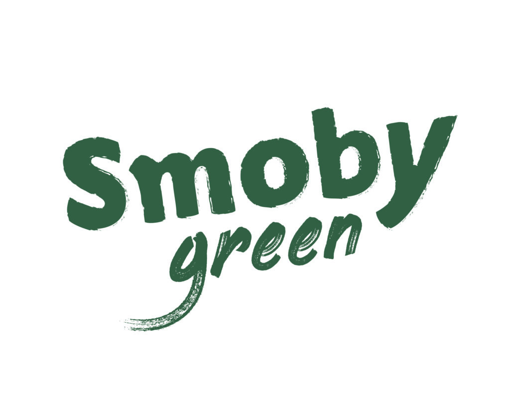 Smoby Green